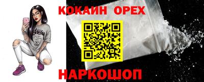 молекула духа Берёзовский