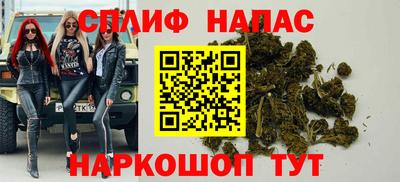 молекула духа Берёзовский