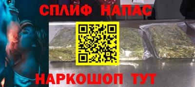 прущие грибы Бийск