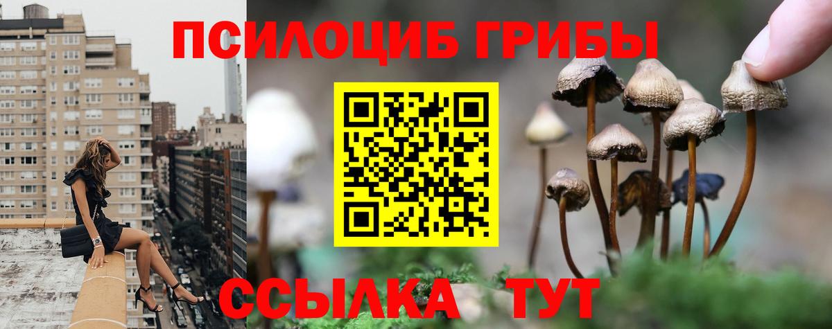 Галлюциногенные грибы прущие грибы Ипатово