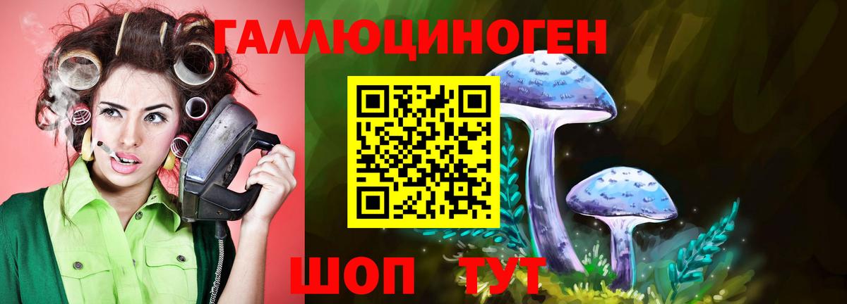 Псилоцибиновые грибы ЛСД  Галлюциногенные грибы прущие грибы  Ипатово  Вход с VPN 